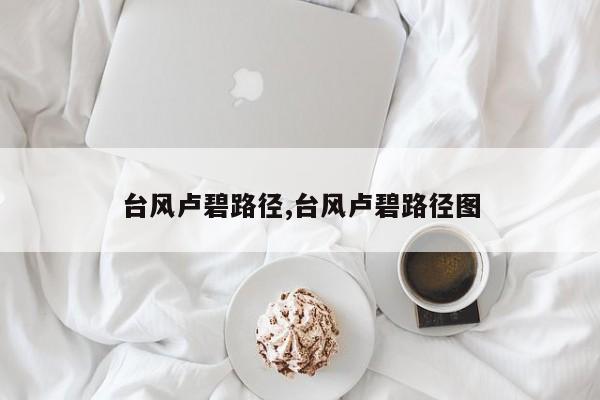 台风卢碧路径,台风卢碧路径图