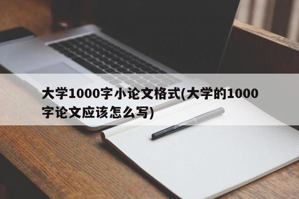 大学1000字小论文格式(大学的1000字论文应该怎么写)