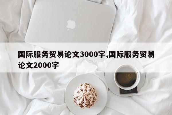 国际服务贸易论文3000字,国际服务贸易论文2000字