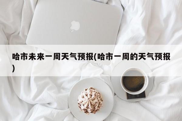 哈市未来一周天气预报(哈市一周的天气预报)