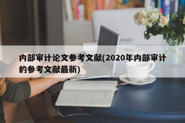 内部审计论文参考文献(2020年内部审计的参考文献最新) 第1张