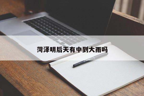 菏泽明后天有中到大雨吗
