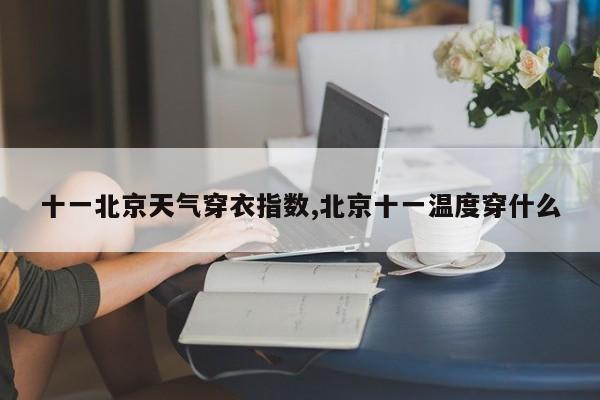 十一北京天气穿衣指数,北京十一温度穿什么 第1张
