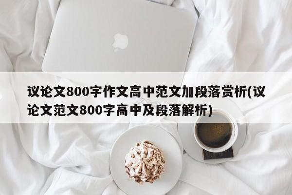 议论文800字作文高中范文加段落赏析(议论文范文800字高中及段落解析) 第1张