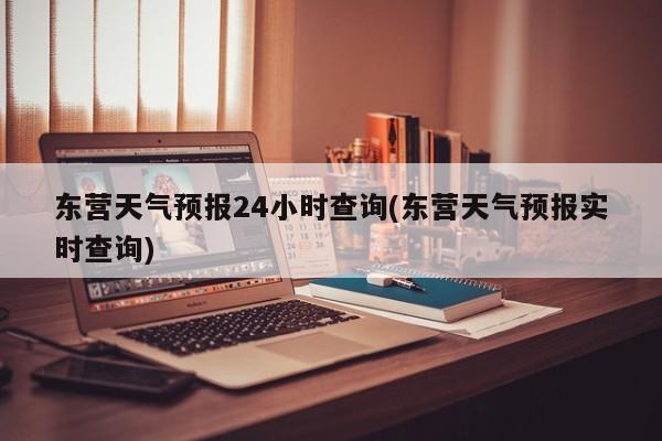 东营天气预报24小时查询(东营天气预报实时查询)