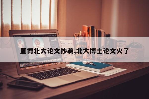 直博北大论文抄袭,北大博士论文火了 第1张