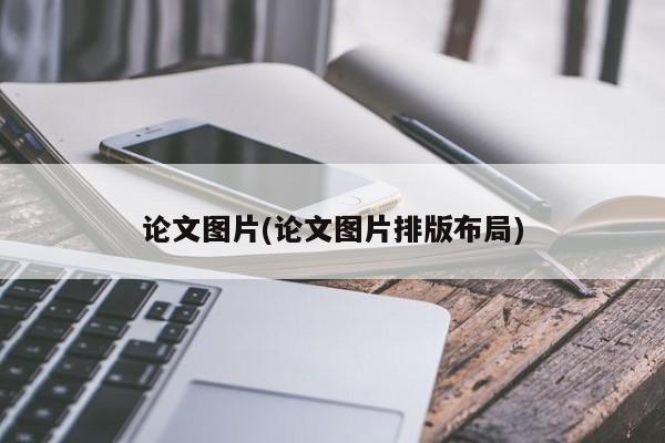 论文图片(论文图片排版布局) 第1张