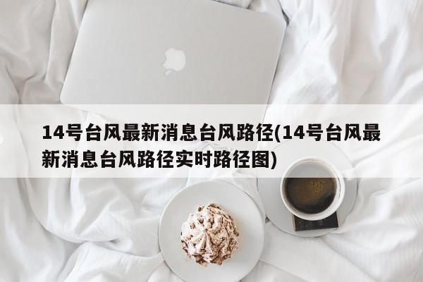 14号台风最新消息台风路径(14号台风最新消息台风路径实时路径图)