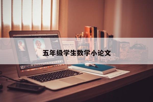 五年级学生数学小论文 第1张