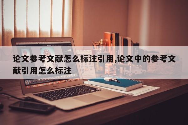 论文参考文献怎么标注引用,论文中的参考文献引用怎么标注