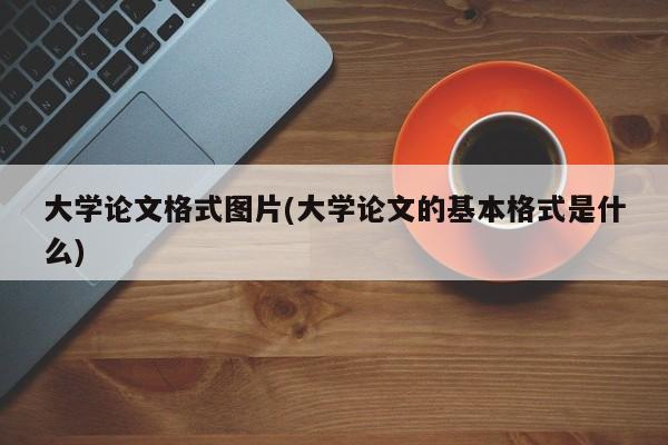 大学论文格式图片(大学论文的基本格式是什么)